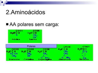 2.Aminoácidos AA polares sem carga: Polares 