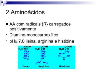 2.Aminoácidos AA com radicais {R} carregados positivamente Diamino-monocarboxílico pH   7,0 lisina, arginina e histidina 