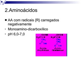 2.Aminoácidos AA com radicais {R} carregados negativamente Monoamino-dicarboxílico pH 6,0-7,0 