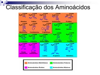 2.Aminoácidos 
