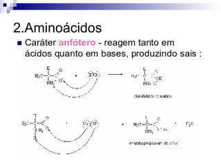 2.Aminoácidos 