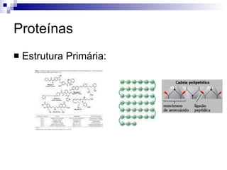 Proteínas Estrutura Primária: 