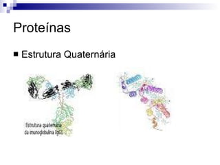 Proteínas Estrutura Quaternária 