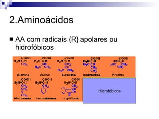 2.Aminoácidos AA com radicais {R} apolares ou hidrofóbicos Hidrofóbicos 