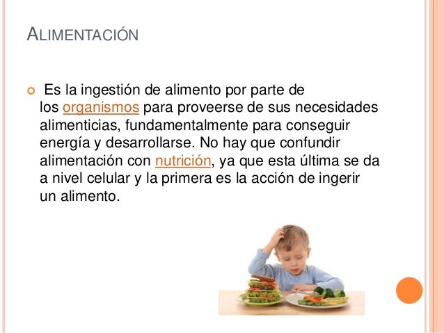 Qué me conviene comer