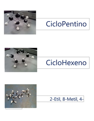 CicloPentino
CicloHexeno
2-Etil, 8-Metil, 4-
Noneno
