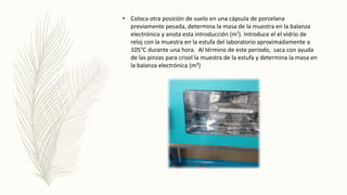 • Coloca otra posición de suelo en una cápsula de porcelana
previamente pesada, determina la masa de la muestra en la balanza
electrónica y anota esta introducción (m¹). Introduce el el vidrio de
reloj con la muestra en la estufa del laboratorio aproximadamente a
105°C durante una hora. Al término de este periodo, saca con ayuda
de las pinzas para crisol la muestra de la estufa y determina la masa en
la balanza electrónica (m²)
 