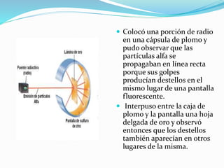  Colocó una porción de radio
en una cápsula de plomo y
pudo observar que las
partículas alfa se
propagaban en línea recta
porque sus golpes
producían destellos en el
mismo lugar de una pantalla
fluorescente.
 Interpuso entre la caja de
plomo y la pantalla una hoja
delgada de oro y observó
entonces que los destellos
también aparecían en otros
lugares de la misma.
 
