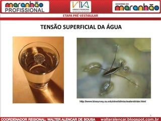 ETAPA PRÉ-VESTIBULAR


TENSÃO SUPERFICIAL DA ÁGUA




                                                      6
                              walteralencar.blogspot.com.br
 