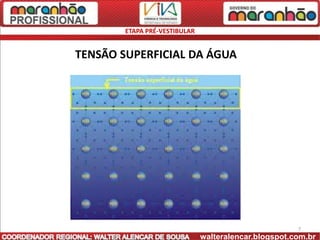 ETAPA PRÉ-VESTIBULAR


TENSÃO SUPERFICIAL DA ÁGUA




                                                       7
                               walteralencar.blogspot.com.br
 