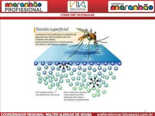 ETAPA PRÉ-VESTIBULAR




                                               8
                       walteralencar.blogspot.com.br
 