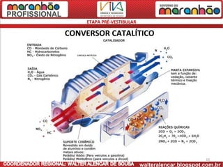 ETAPA PRÉ-VESTIBULAR

CONVERSOR CATALÍTICO




                                                  10
                           walteralencar.blogspot.com.br
 