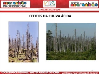 ETAPA PRÉ-VESTIBULAR


EFEITOS DA CHUVA ÁCIDA




                                                  14
                           walteralencar.blogspot.com.br
 