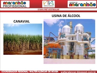 ETAPA PRÉ-VESTIBULAR


                        USINA DE ÁLCOOL
CANAVIAL




                                                         18
                                  walteralencar.blogspot.com.br
 