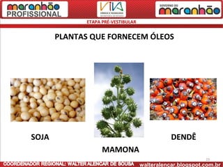 ETAPA PRÉ-VESTIBULAR


       PLANTAS QUE FORNECEM ÓLEOS




SOJA                                           DENDÊ
                   MAMONA
                                                           23
                                    walteralencar.blogspot.com.br
 