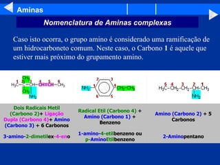 Aminas Caso isto ocorra, o grupo amino é considerado uma ramificação de um hidrocarboneto comum. Neste caso, o Carbono  1  é aquele que estiver mais próximo do grupamento amino.  Nomenclatura de Aminas complexas 2-Amino pentano 1-amino- 4-etil benzeno ou p- Amino Etil benzeno 3-amino- 2-dimetil ex -4-en o Amino (Carbono 2)  + 5 Carbonos Radical Etil (Carbono 4)  +  Amino (Carbono 1)  + Benzeno Dois Radicais Metil (Carbono 2) +  Ligação Dupla (Carbono 4) +  Amino (Carbono 3)  + 6 Carbonos                                                                                                                                                                                                                                                               
