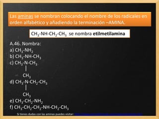 Química2 bach 11.7 aminas y amidas