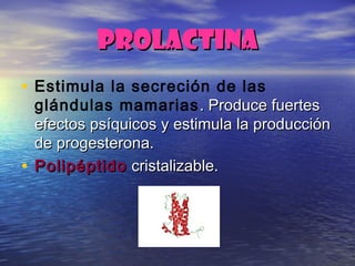 PROLACTINAPROLACTINA
• Estimula la secreción de las
glándulas mamarias . Produce fuertes. Produce fuertes
efectos psíquicos y estimula la producciónefectos psíquicos y estimula la producción
de progesterona.de progesterona.
• PolipéptidoPolipéptido cristalizable.cristalizable.
 