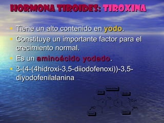 HORMONA TIROIDES:HORMONA TIROIDES: TIROXINATIROXINA
• Tiene un alto contenido enTiene un alto contenido en yodoyodo..
• Constituye un importante factor para elConstituye un importante factor para el
crecimiento normal.crecimiento normal.
• Es unEs un aminoácido yodadoaminoácido yodado ..
• 3-(4-(4hidroxi-3,5-diiodofenoxi))-3,5-3-(4-(4hidroxi-3,5-diiodofenoxi))-3,5-
diyodofenilalaninadiyodofenilalanina
 