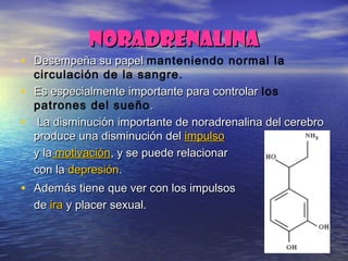 NORADRENALINANORADRENALINA
• Desempeña su papelDesempeña su papel manteniendo normal la
circulación de la sangre.
• Es especialmente importante para controlarEs especialmente importante para controlar los
patrones del sueño ..
• La disminución importante de noradrenalina del cerebroLa disminución importante de noradrenalina del cerebro
produce una disminución delproduce una disminución del impulsoimpulso
y lay la motivaciónmotivación, y se puede relacionar, y se puede relacionar
con lacon la depresióndepresión..
• Además tiene que ver con los impulsosAdemás tiene que ver con los impulsos
dede iraira y placer sexual.y placer sexual.
 