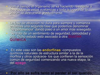 • Con el tiempo el organismo se va haciendo resistente aCon el tiempo el organismo se va haciendo resistente a
los efectos de estas sustancias y toda la locura de lalos efectos de estas sustancias y toda la locura de la
pasión se desvanece gradualmente.pasión se desvanece gradualmente.
• La fase de atracción no dura para siempre y comienzaLa fase de atracción no dura para siempre y comienza
entonces una segunda fase que podemos denominarentonces una segunda fase que podemos denominar
“de pertenencia” dando paso a un amor más sosegado.“de pertenencia” dando paso a un amor más sosegado.
• Se trata de un sentimiento de seguridad, comodidad ySe trata de un sentimiento de seguridad, comodidad y
paz. Dicho estado está asociado a otrapaz. Dicho estado está asociado a otra DUCHA
QUÍMICA..
• En este caso son lasEn este caso son las endorfinas -compuestos-compuestos
químicos naturales de estructura similar a la de laquímicos naturales de estructura similar a la de la
morfina y otros opiáceos- los que confieren la sensaciónmorfina y otros opiáceos- los que confieren la sensación
común de seguridad comenzando una nueva etapa, lacomún de seguridad comenzando una nueva etapa, la
deldel apego..
• Por ello se sufre tanto al perder al ser querido,
 