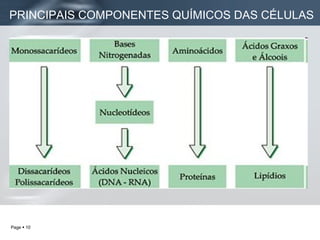 PRINCIPAIS COMPONENTES QUÍMICOS DAS CÉLULAS 