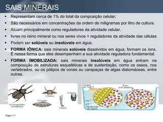 Representam cerca de 1% do total da composição celular; São necessários em concentrações da ordem de miligramas por litro de cultura.  Atuam principalmente como reguladores da atividade celular. livres no reino mineral ou nos seres vivos = reguladores da atividade das células  Podem ser  solúveis  ou  insolúveis  em água.  FORMA IÔNICA:  sais minerais  solúveis  dissolvidos em água, formam os íons. É nessa forma que eles desempenham a sua atividade reguladora fundamental.  FORMA IMOBILIZADA:  sais minerais  insolúveis  em água entram na composição de estruturas esqueléticas e de sustentação, como os ossos, nos vertebrados, ou os pólipos de corais ou carapaças de algas diatomáceas, entre outras.  SAIS MINERAIS 