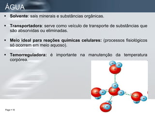 Solvente : sais minerais e substâncias orgânicas. Transportadora : serve como veículo de transporte de substâncias que são absorvidas ou eliminadas. Meio ideal para reações químicas celulares:  (processos fisiológicos só ocorrem em meio aquoso). Temorreguladora:  é importante na manutenção da temperatura corpórea.  ÁGUA 