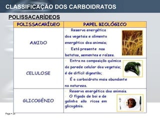 CLASSIFICAÇÃO DOS CARBOIDRATOS POLISSACARÍDEOS 