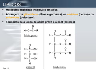 LIPÍDIOS   Moléculas orgânicas insolúveis em água. Abrangem os  glicerídeos  (óleos e gorduras), os  cerídeos  (ceras) e os  esteróides  (colesterol). Formados pela união de ácido graxo e álcool (ésteres) 