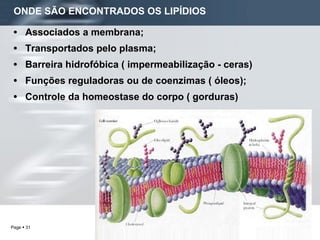 ONDE SÃO ENCONTRADOS OS LIPÍDIOS Associados a membrana; Transportados pelo plasma; Barreira hidrofóbica ( impermeabilização - ceras) Funções reguladoras ou de coenzimas ( óleos); Controle da homeostase do corpo ( gorduras) 