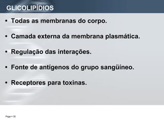 GLICOLIPÍDIOS Todas as membranas do corpo. Camada externa da membrana plasmática. Regulação das interações. Fonte de antígenos do grupo sangüíneo. Receptores para toxinas. 