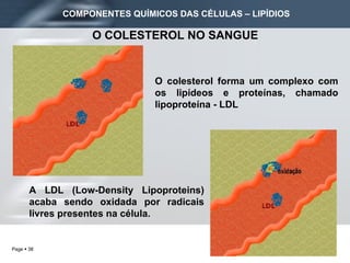 COMPONENTES QUÍMICOS DAS CÉLULAS – LIPÍDIOS O colesterol forma um complexo com os lipídeos e proteínas, chamado lipoproteína - LDL A LDL (Low-Density Lipoproteins) acaba sendo oxidada por radicais livres presentes na célula.  O COLESTEROL NO SANGUE 