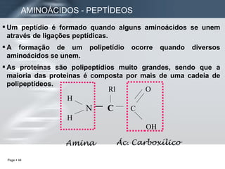 Rl  O H N  C   C  H OH Ác. Carboxílico Amina Um peptídio é formado quando alguns aminoácidos se unem através de ligações peptídicas. A formação de um polipetídio ocorre quando diversos aminoácidos se unem. As proteínas são polipeptídios muito grandes, sendo que a maioria das proteínas é composta por mais de uma cadeia de polipeptídeos.  AMINOÁCIDOS - PEPTÍDEOS 
