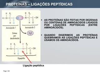 AS PROTEÍNAS SÃO FEITAS POR DEZENAS OU CENTENAS DE AMINOÁCIDOS LIGADOS POR LIGAÇÕES PEPTÍDICAS (ENTRE AMINOÁCIDOS). QUANDO DIGERIMOS AS PROTEÍNAS QUEBRAMOS AS LIGAÇÕES PEPTÍDICAS E USAMOS OS AMINOÁCIDOS. Ligação peptídica PROTEÍNAS – LIGAÇÕES PEPTÍDICAS 