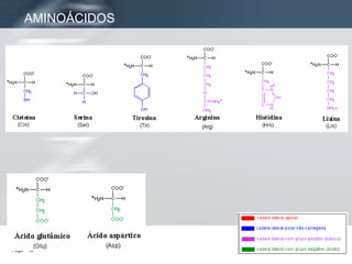 AMINOÁCIDOS 
