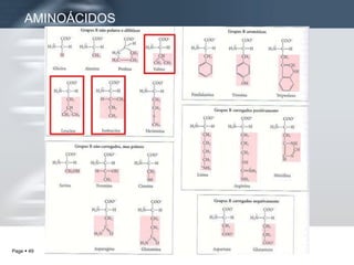 AMINOÁCIDOS 