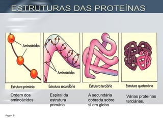 Ordem dos aminoácidos Espiral da estrutura primária A secundária dobrada sobre si em globo. Várias proteínas terciárias. 