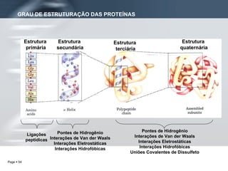 GRAU DE ESTRUTURAÇÃO DAS PROTEÍNAS Ligações peptídicas Pontes de Hidrogênio Interações de Van der Waals Interações Eletrostáticas Interações Hidrofóbicas Uniões Covalentes de Dissulfeto Pontes de Hidrogênio Interações de Van der Waals Interações Eletrostáticas Interações Hidrofóbicas Estrutura  primária Estrutura  secundária Estrutura  terciária Estrutura  quaternária 