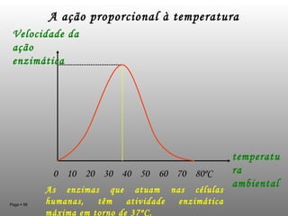A ação proporcional à temperatura 0  10  20  30  40  50  60  70  80ºC temperatura ambiental Velocidade da ação enzimática As enzimas que atuam nas células humanas, têm atividade enzimática máxima em torno de 37ºC. 