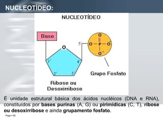 NUCLEOTÍDEO: É unidade estrutural básica dos ácidos nucléicos (DNA e RNA), constituídos por  bases purinas  (A, G) ou  pirimídicas  (C, T),  ribose ou desoxirribose  e ainda  grupamento fosfato . 
