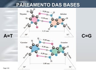PAREAMENTO DAS BASES A=T C=G 