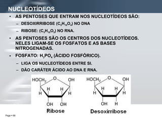 NUCLEOTÍDEOS AS PENTOSES QUE ENTRAM NOS NUCLEOTÍDEOS SÃO: DESOXIRRIBOSE (C 5 H 10 O 4 ) NO DNA RIBOSE: (C 5 H 10 O 5 ) NO RNA. AS PENTOSES SÃO OS CENTROS DOS NUCLEOTÍDEOS. NELES LIGAM-SE OS FOSFATOS E AS BASES NITROGENADAS. FOSFATO: H 3 PO 4  (ÁCIDO FOSFÓRICO). LIGA OS NUCLEOTÍDEOS ENTRE SI. DÃO CARÁTER ÁCIDO AO DNA E RNA. 
