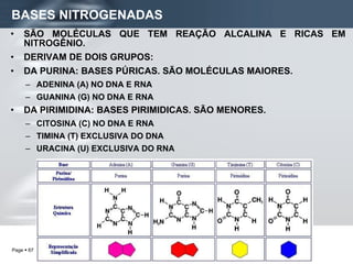 BASES NITROGENADAS SÃO MOLÉCULAS QUE TEM REAÇÃO ALCALINA E RICAS EM NITROGÊNIO. DERIVAM DE DOIS GRUPOS: DA PURINA: BASES PÚRICAS. SÃO MOLÉCULAS MAIORES.  ADENINA (A) NO DNA E RNA GUANINA (G) NO DNA E RNA DA PIRIMIDINA: BASES PIRIMIDICAS. SÃO MENORES. CITOSINA (C) NO DNA E RNA TIMINA (T) EXCLUSIVA DO DNA URACINA (U) EXCLUSIVA DO RNA 