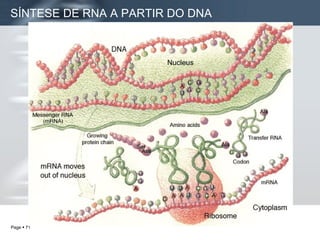 SÍNTESE DE RNA A PARTIR DO DNA 