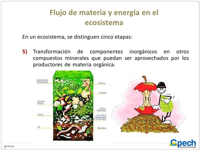 Flujo de materia y Energía