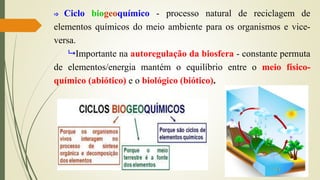  Ciclo biogeoquímico - processo natural de reciclagem de
elementos químicos do meio ambiente para os organismos e vice-
versa.
 Importante na autoregulação da biosfera - constante permuta
de elementos/energia mantém o equilíbrio entre o meio físico-
químico (abiótico) e o biológico (biótico).
 