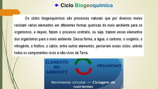  Ciclo Biogeoquímico
 