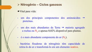 ➢ Nitrogênio – Ciclos gasosos
Vital para vida:
- um dos principais componentes dos aminoácidos 
proteínas.
- um dos mais abundantes da Terra  maioria agregado
a rochas ou N2 e apenas 0,02% disponível para plantas.
- é o mais abundante componente do ar (N2).
- bactérias fixadoras de nitrogênio têm capacidade de
retira-lo do ar e transformá-lo em um elemento reativo.
 