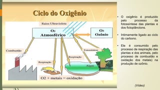 • O oxigênio é produzido
pelo processo da
fotossíntese das plantas e
dos fictoplânctons.
• Intimamente ligado ao ciclo
do carbono.
• Ele é consumido pelo
processo de respiração das
plantas e dos animais, pelo
processo de combustão e
oxidação dos metais) na
produção de ozônio.
(Vídeo)
 